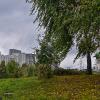 Осень в городе :: Валерий Иванович