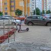 Кони ждут своих седоков :: Валерий Иванович