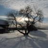 Природа :: петроф 