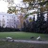 Московский дворик :: Маргарита Б
