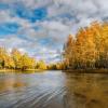 Осень :: Владимир Колесников