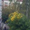 Природа :: Валентина Береснева