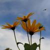Случайный кадр :: светлана льдокова