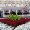 Украшение города :: юрий Амосов