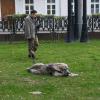 Достало всё! :: Лютый Дровосек