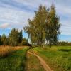 Прогулка в Осень :: Андрей Дворников