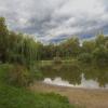 В Лосином острове :: marmorozov Морозова
