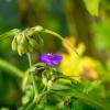 Природа :: Yuriy V