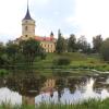 Павловск. Ранняя осень. :: Наталья Лунева 