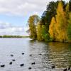 Гармония природы :: Владимир Звягин