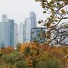 Осенний Москва-Сити :: Елена Л