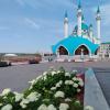 Казань. Кремль :: Надежда 