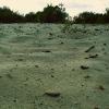 Символы :: Nora Nowhere
