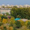 Пейзаж :: Виктор Иванович Чернюк