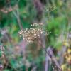 Природа :: Yuriy V