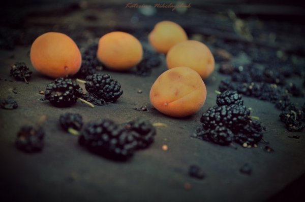 ТОП-10 фотографий за 30.06.2012 г.
