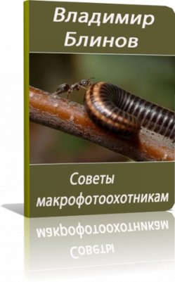 Владимир Блинов - Советы макрофотоохотникам