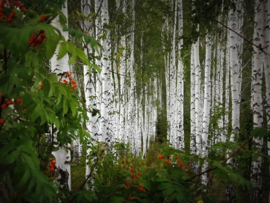ТОП-10 фотографий за 18.08.2012 г.