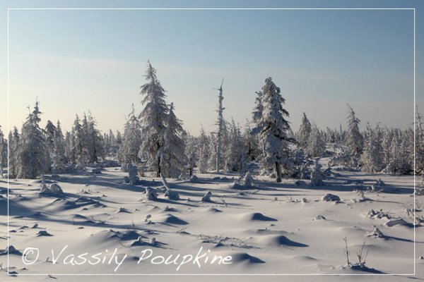 Подписи на фотографиях (копирайт) и рамки