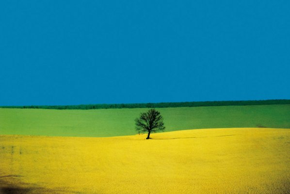 Цитаты о фотографии. Franco Fontana