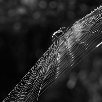 ТОП-10 фотографий за 27.09.2012&nbsp;г.