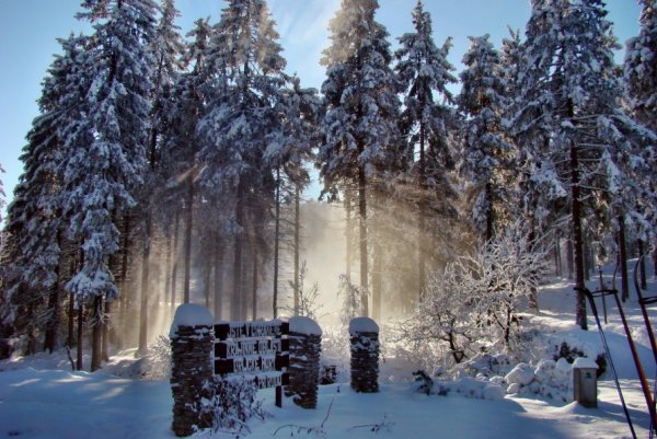 ТОП-20 фотографий за 20.11.2012&nbsp;г.
