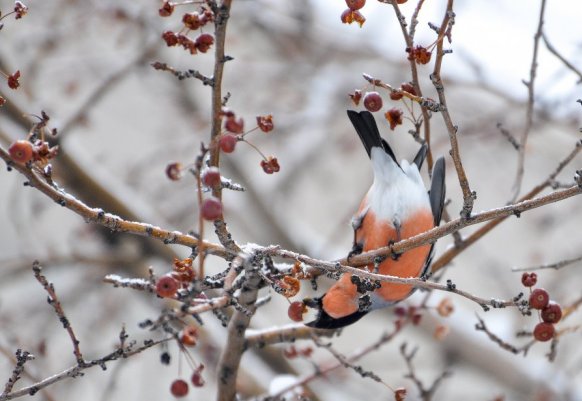 ТОП-20 фотографий за 08.12.2012&nbsp;г.