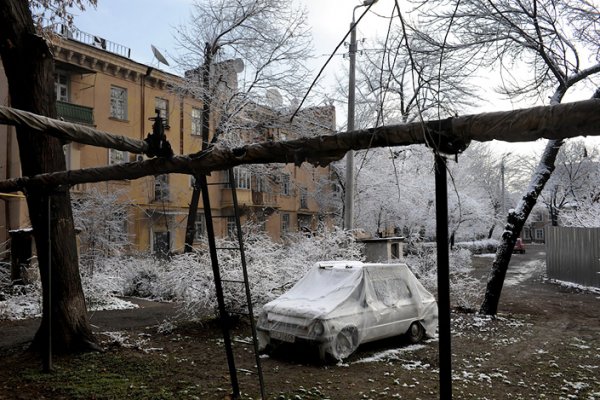 Фотограф Колин Дельфосс