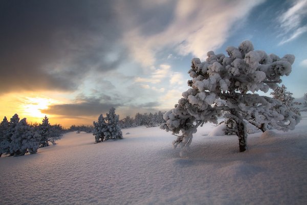 ТОП-20 фотографий за 09.02.2013 г.