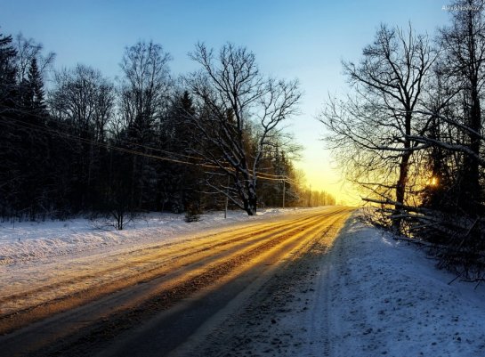 ТОП-20 фотографий за 21.02.2013 г.