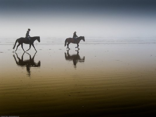 4 шага к получению хорошей  фотографии с использованием отражений