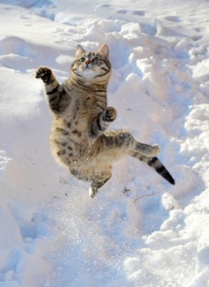 ТОП-20 фотографий за 10.03.2013 г.