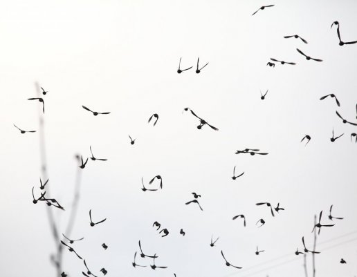 ТОП-10 фотографий за 02.05.2012 г.
