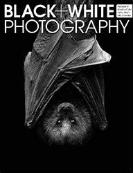 Black + White Photography №4 2013