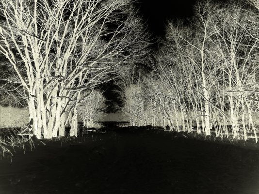 Начальные размышления о фотоискусстве ч.27