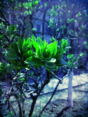 Приветствие