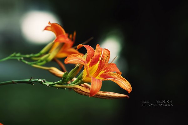 ТОП-20 фотографий за 19.07.2013&nbsp;г.