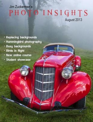 Photo Insights - August 2013
