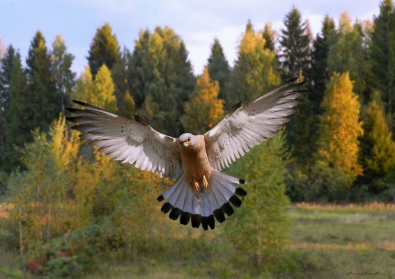 ТОП-20 фотографий за 14.10.2013&nbsp;г.