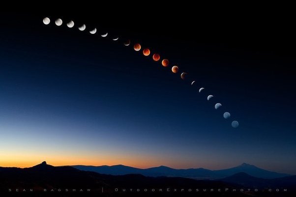Автор: Sean Bagshaw.