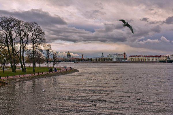 ТОП-20 фотографий за 22.10.2013&nbsp;г.