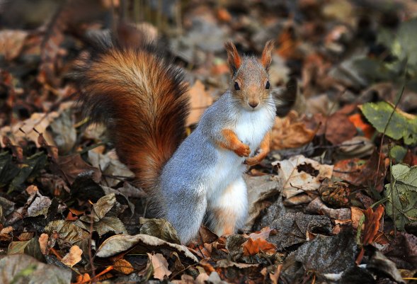 ТОП-20 фотографий за 28.10.2013 г.