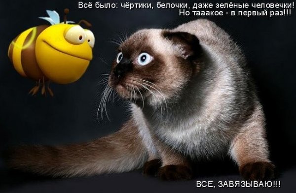 Планета доброго утра! Сегодня понедельник.... и этим все сказано! Легкого дня, побольше улыбок и приятностей! А с негативом утром- завязывай!