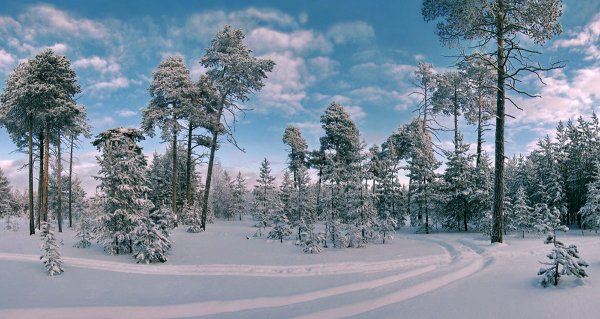 ТОП-20 фотографий за 13.12.2013&nbsp;г.