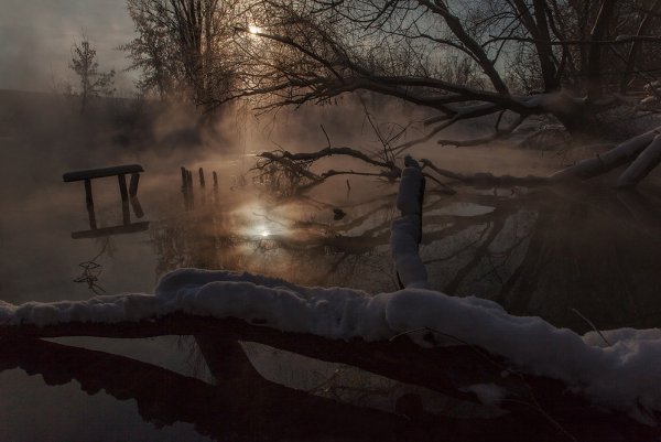 ТОП-20 фотографий за 29.01.2014&nbsp;г.