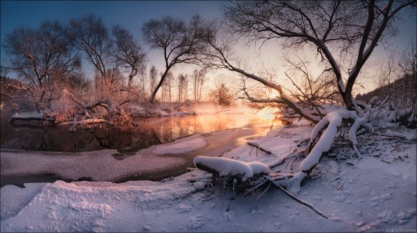 ТОП-20 фотографий за 02.02.2014&nbsp;г.