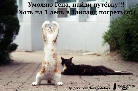 Умоляю Гена, найди путёвку!!! http://vk.com/loveholidays?w=wall-10730473_2809%2Fall