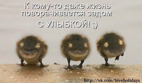 Доброе утро Планета!! С праздников Вас мои хорошие - вот и она СЕКСИ-ПЯТНИЦА!!! Троекратное УРА!   А вы сегодня проснулись с улыбкой на лице???? … Жизнь чудесна! Люди улыбнитесь мне!! ! Вы забудьте о проблемах, вы забудьте о делах! Пусть веселая улыбка за