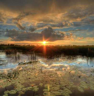 ТОП-20 фотографий за 01.07.2014 г.
