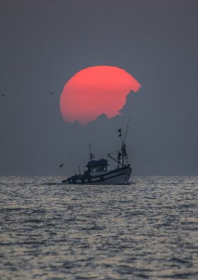 ТОП-20 фотографий за 20.08.2014&nbsp;г.